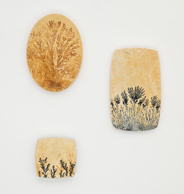 Lotto di 3 pietre calcaree