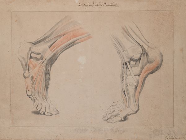 Scuola neoclassica : Studio di anatomico dei piedi  (1821)  - Pietra nera e pietra rossa su carta - Auction Works on Paper - from the 16th to the 19th century - Casa d'Aste Arcadia