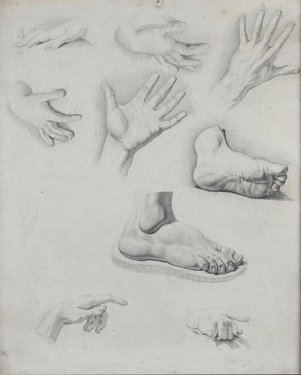 Studi di piedi e di mani
