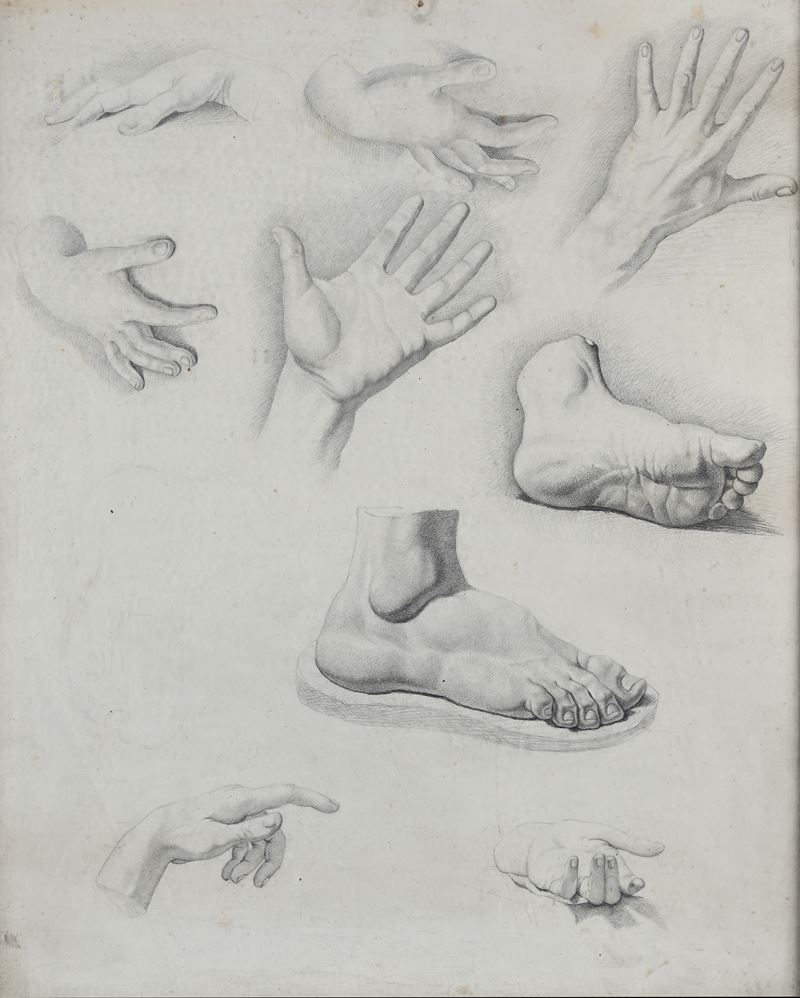 Studi di piedi e di mani