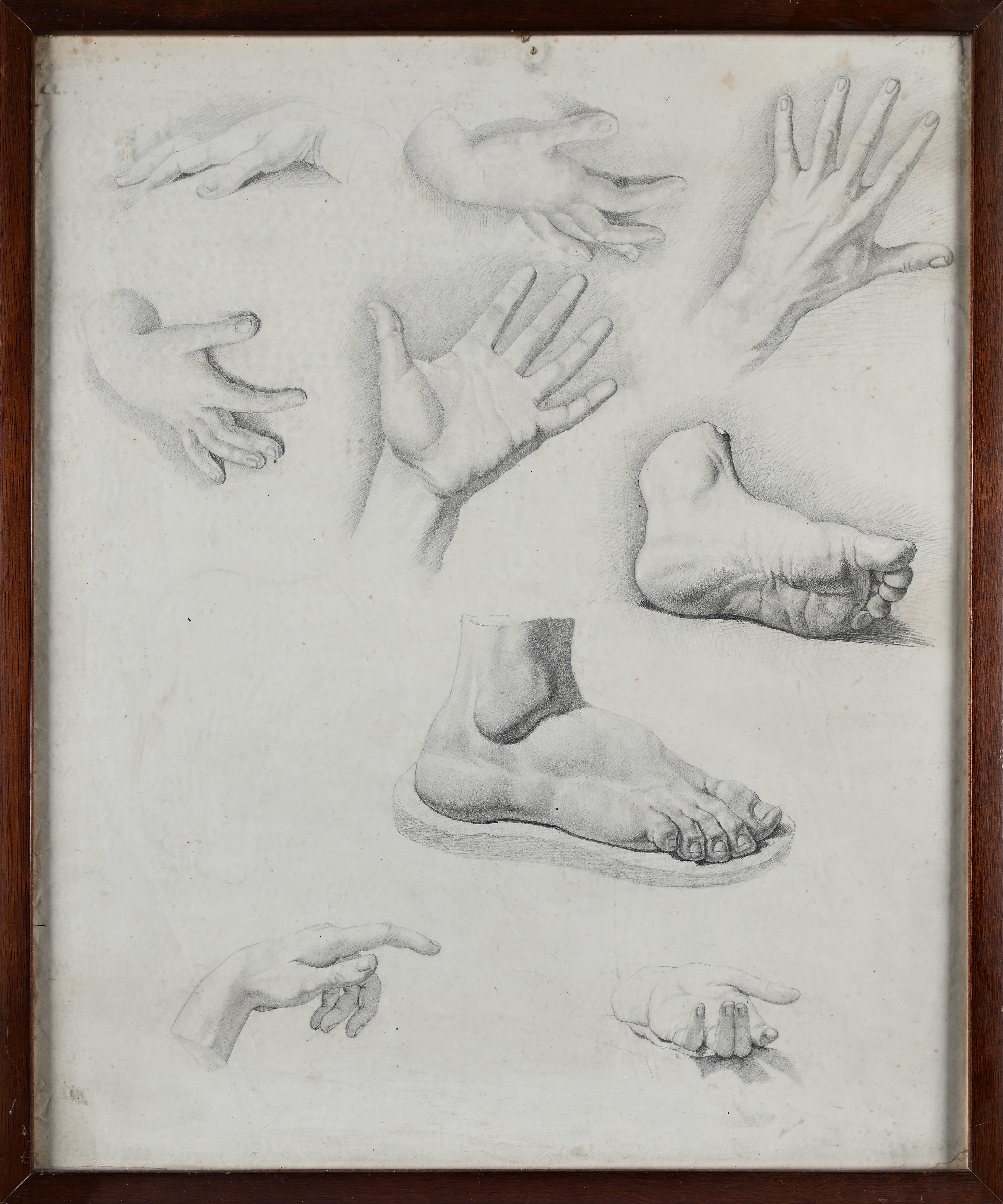 Studi di piedi e di mani