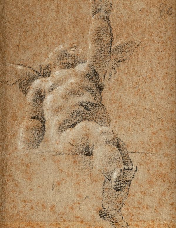 Scuola bolognese del XVIII secolo - Studio di Puttino