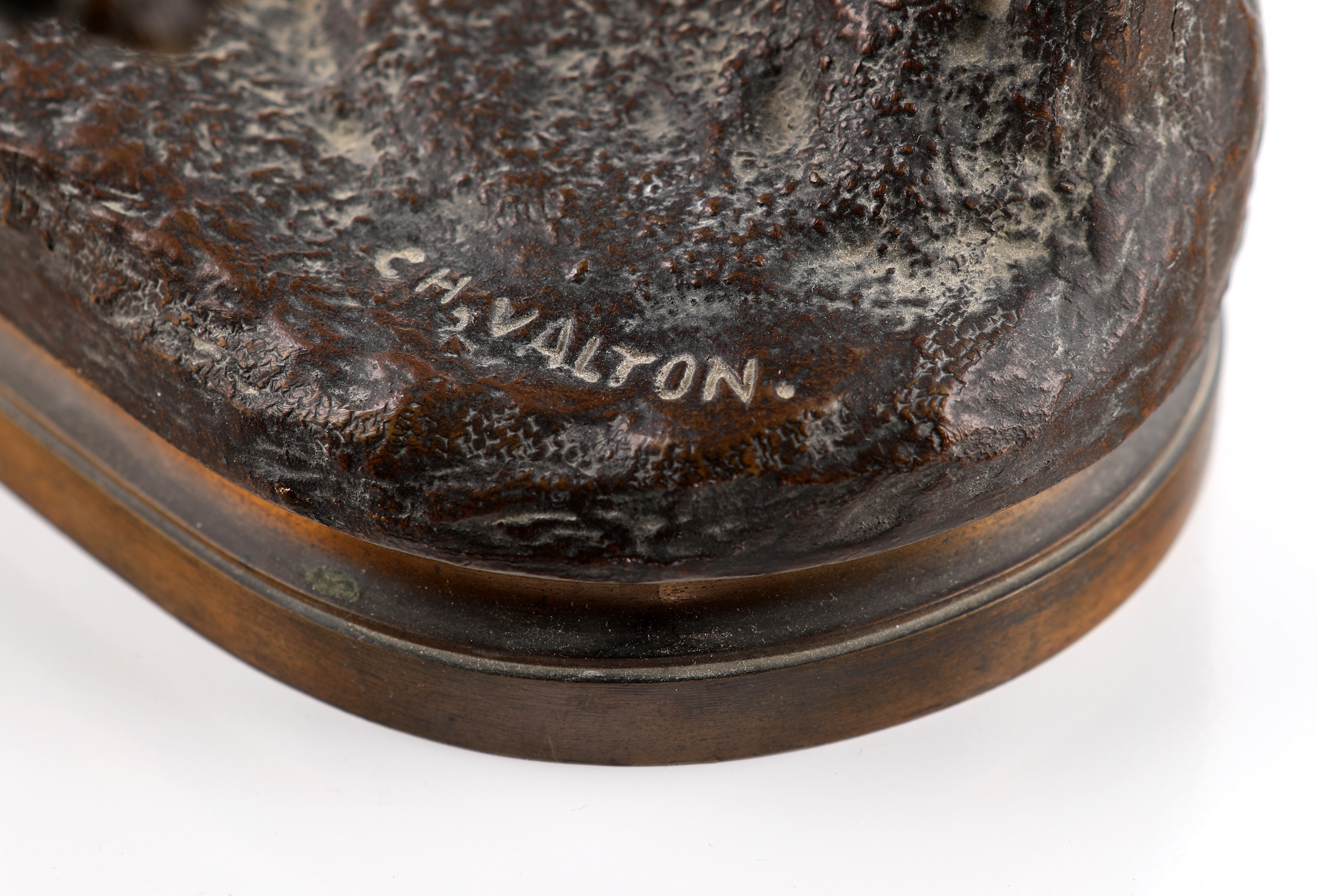 Charles Valton - Molosso alla catena “Passez au large” in bronzo brunito