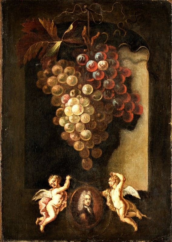 Pittore del XVIII secolo - GRAPPOLO D&#39;UVA