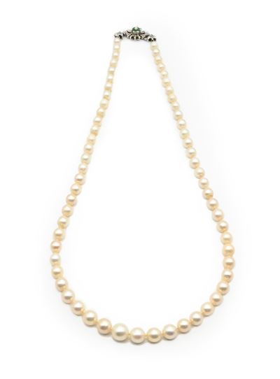 Collana di perle e oro bianco 750/000, perle 6–9 mm