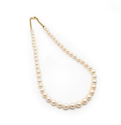 Collana di perle da coltivazione e oro giallo 750/000