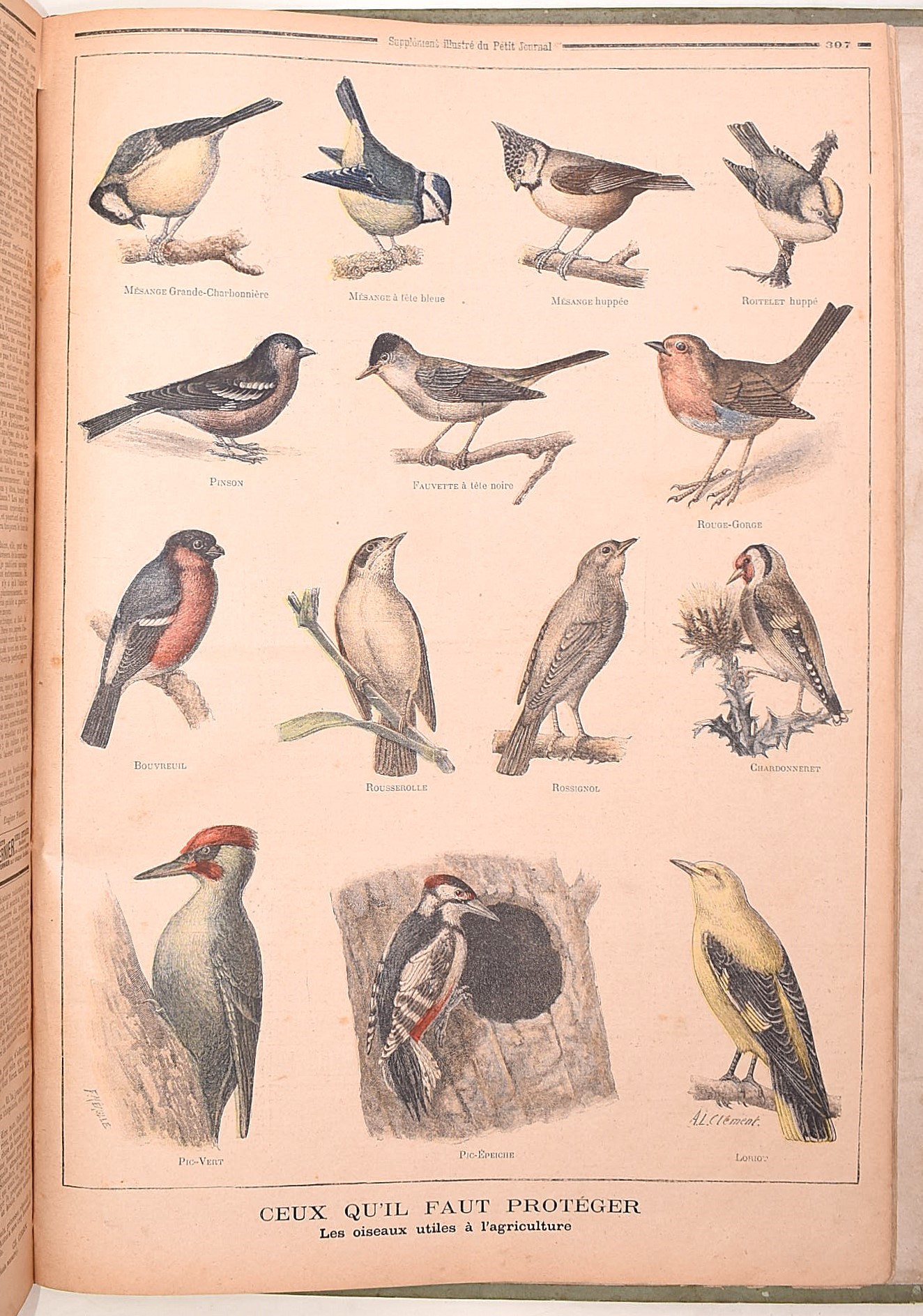 Periodici illustrati francesi, “Le Journal Illustré” (1890), “Le Petit Journal. Supplément illust...