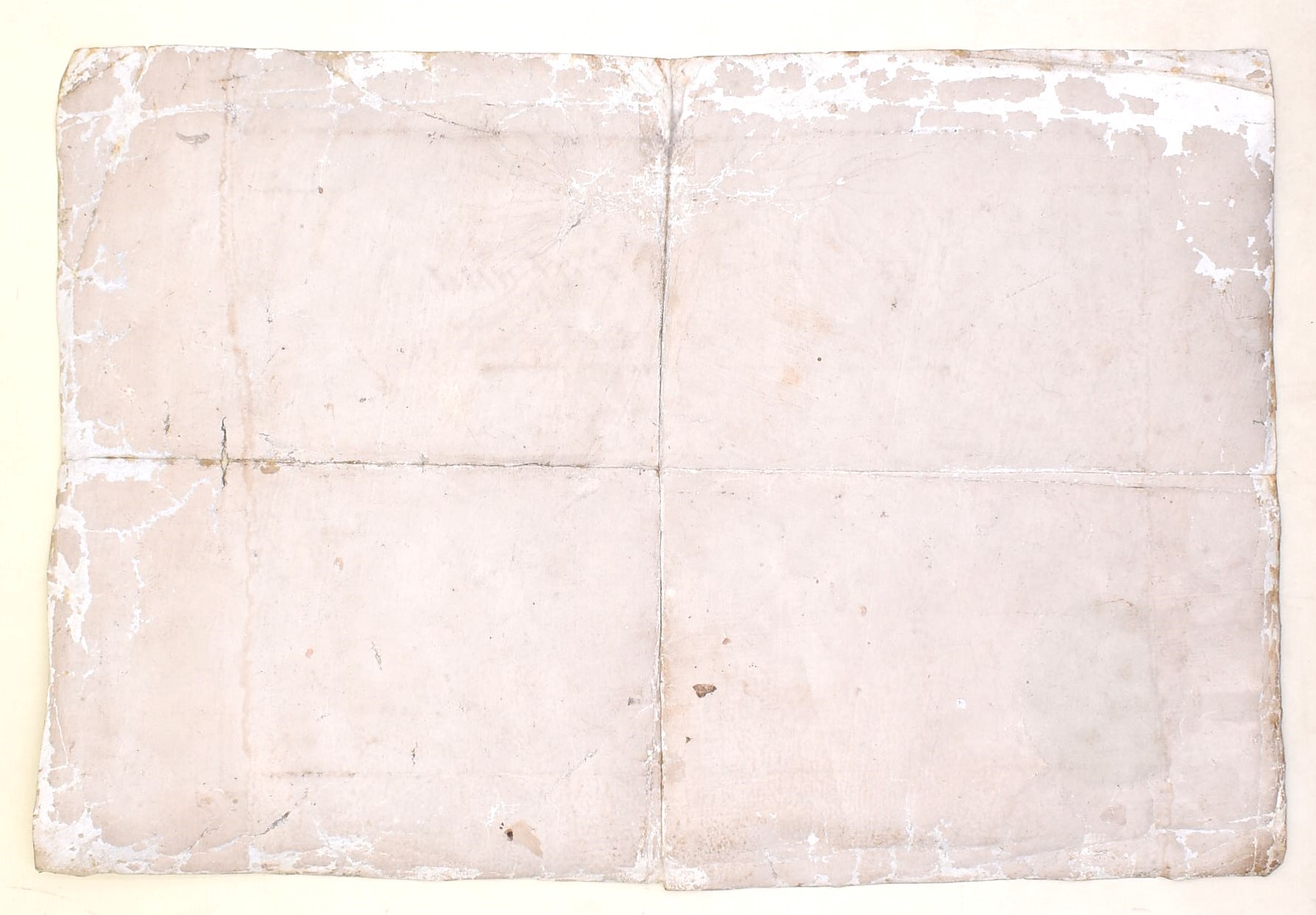 Repubblica Cisalpina, Diploma di laurea in Medicina, 1801
