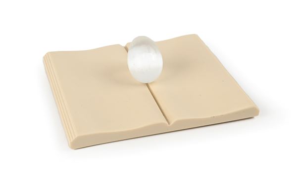Libro con uovo bianco