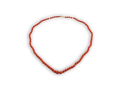Collana di Corallo Rosso