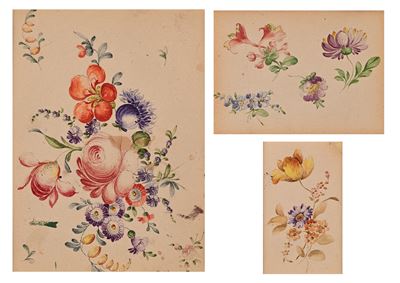 Tre studi di fiori, acquarello su carta