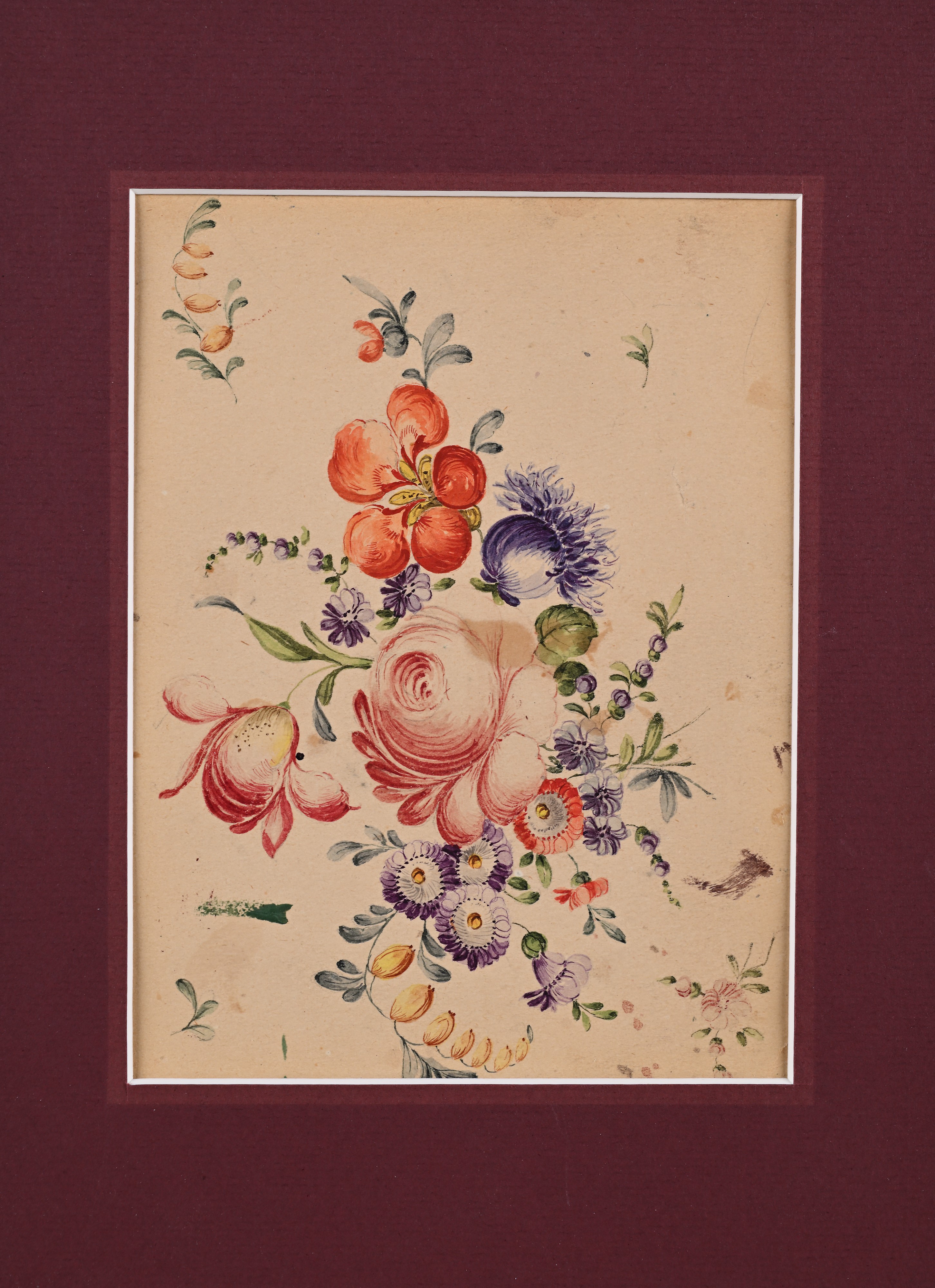 Adele Rothpletz - Tre studi di fiori, acquarello su carta