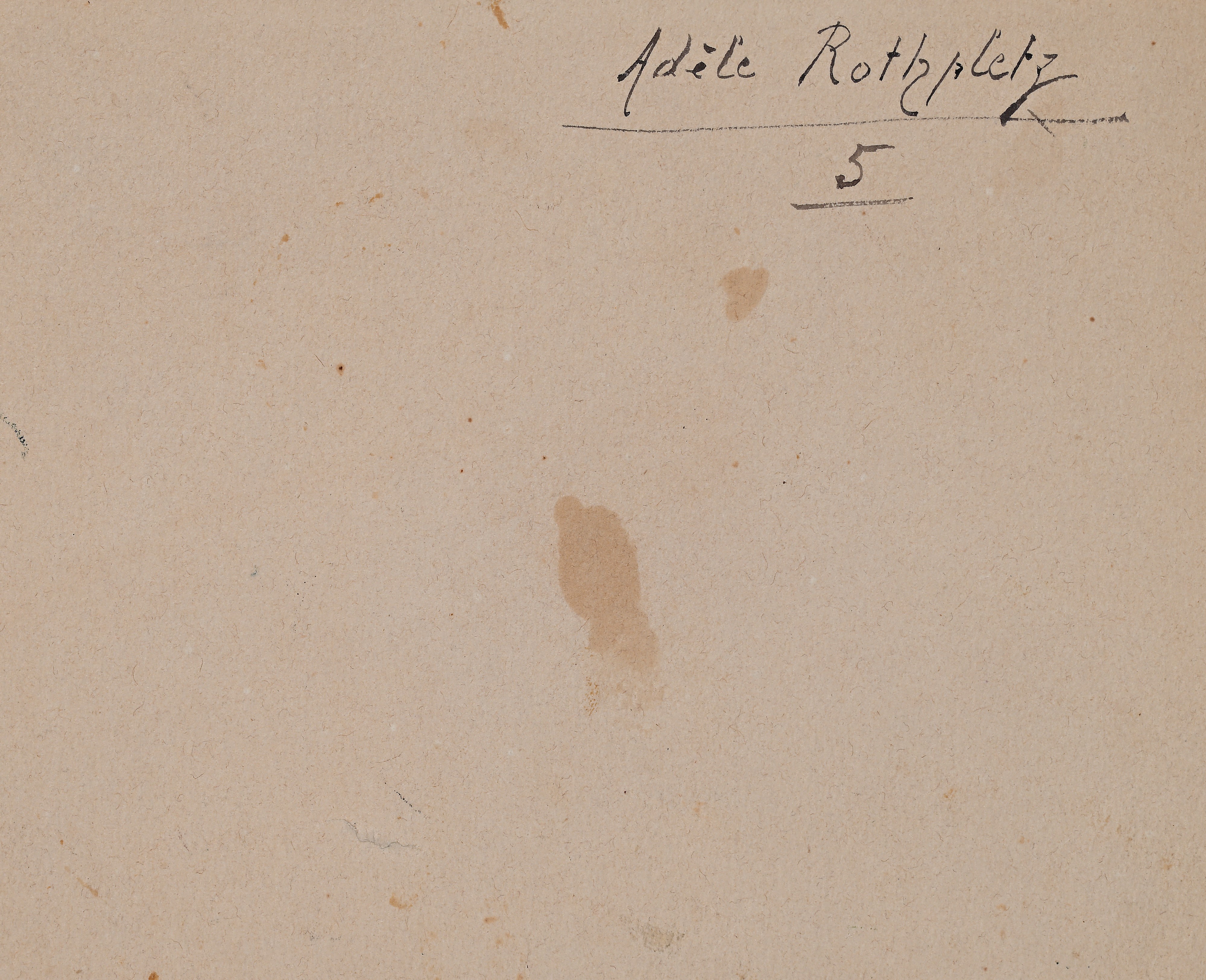 Adele Rothpletz - Tre studi di fiori, acquarello su carta