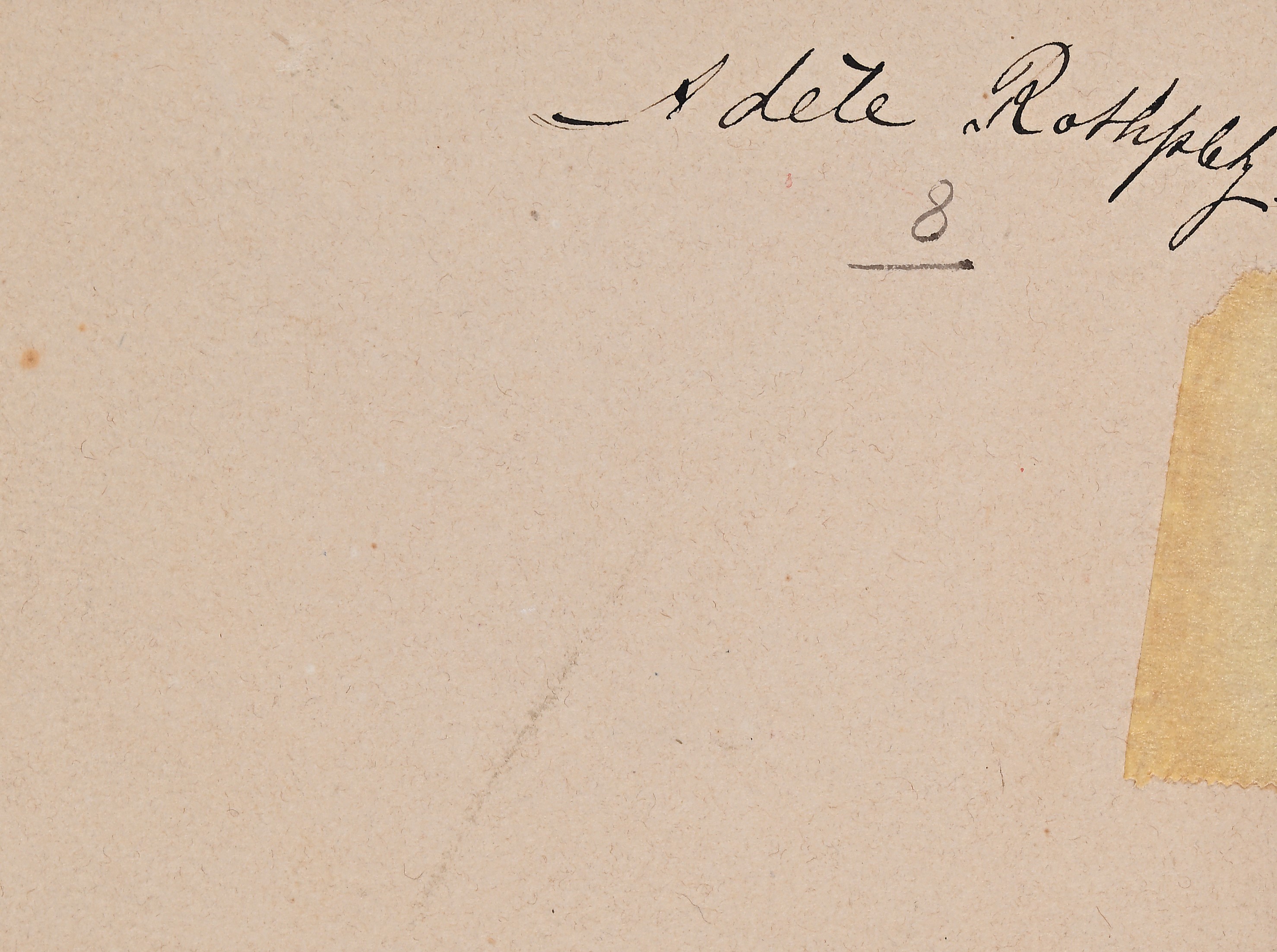Adele Rothpletz - Tre studi di fiori, acquarello su carta