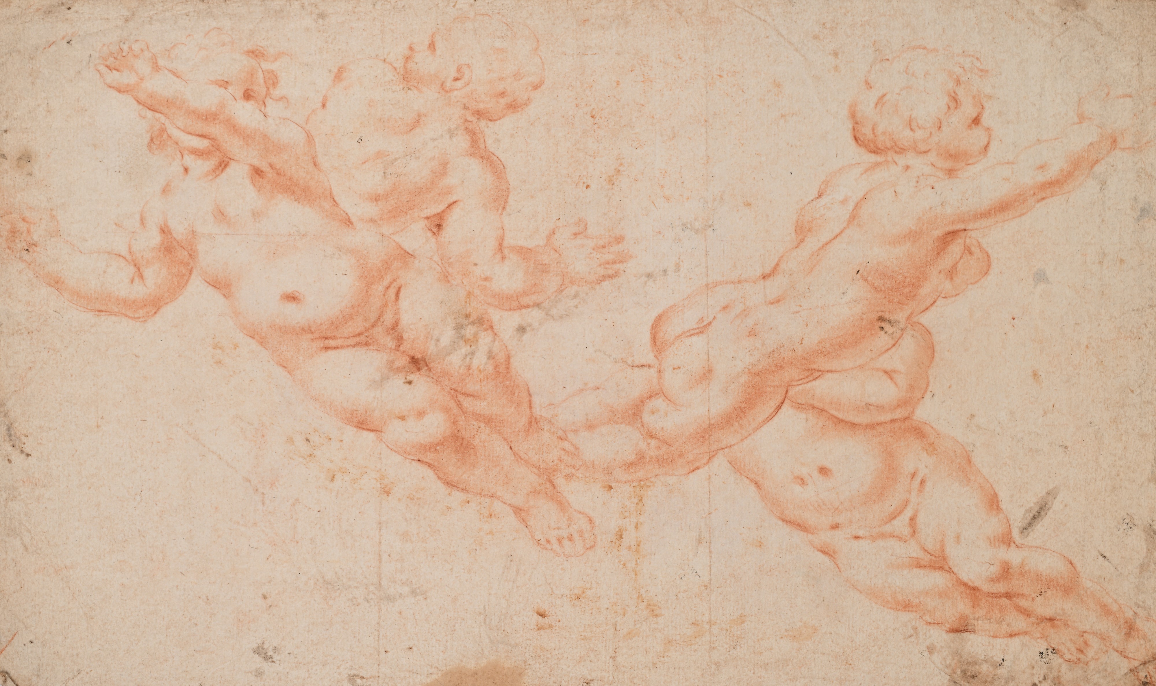 Scuola Romana del XVII/XVIII Secolo - Studio di quattro putti (recto) e studio di tre putti (vers...