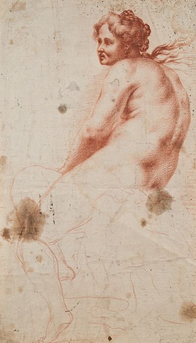 Studio di figura femminile di profilo