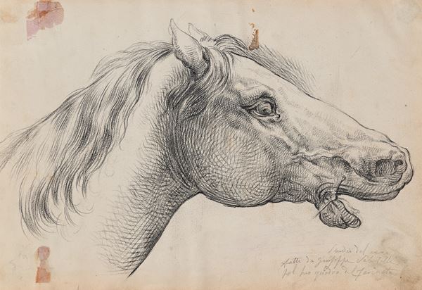 Studio di Testa di Cavallo per il dipinto Farinata degli Uberti alla battaglia del Serchio