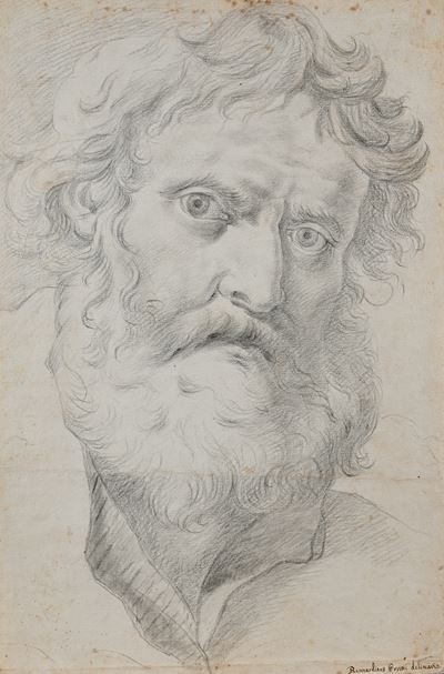 Ritratto senile, pietra nera su carta
