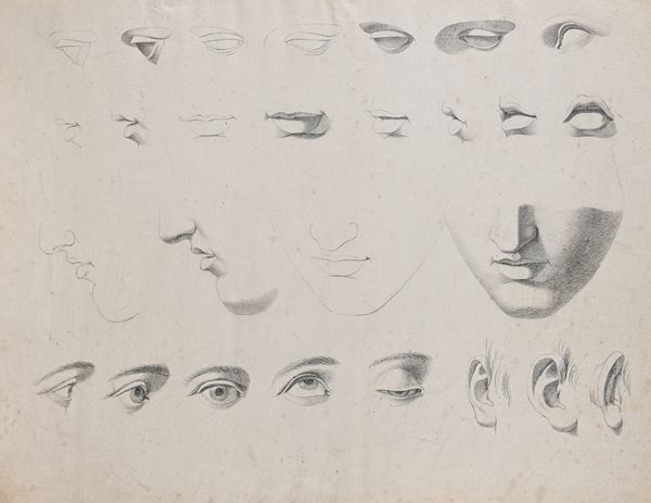 Studi anatomici