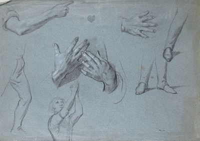Recto: Studi anatomici di braccia e gambe e figura orante; Verso: Studi di volti e figure pondera...