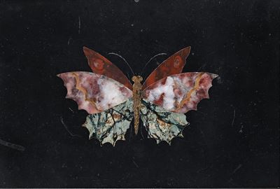 Placca in marmo nero con farfalla in commesso fiorentino, cornice, XX secolo