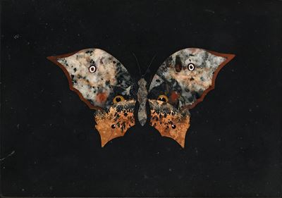 Placca decorativa, marmo nero con farfalla in commesso fiorentino, XX secolo