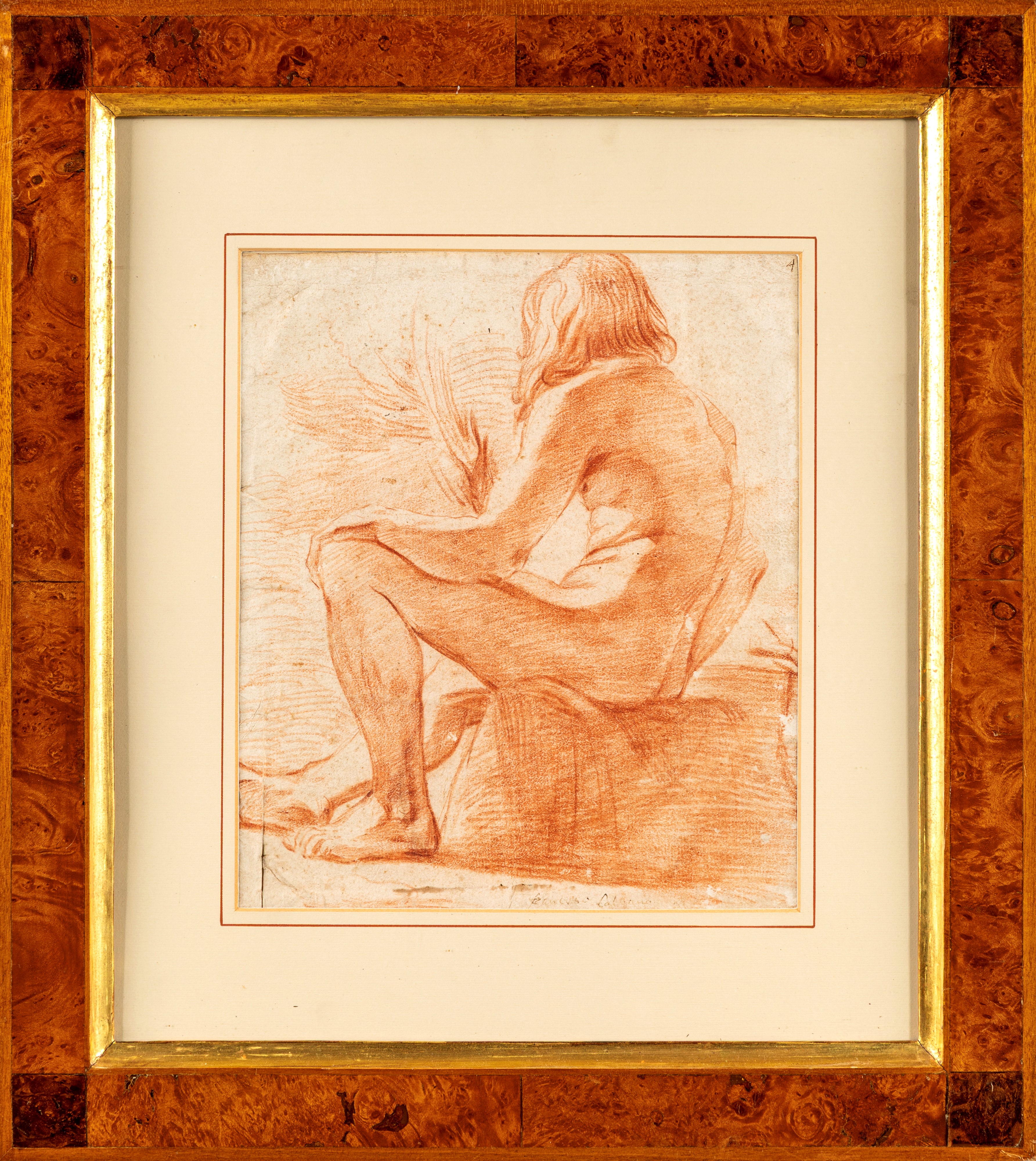 Scuola Bolognese del XVIII Secolo - Studio di nudo accademico di spalle