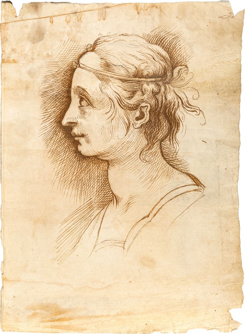 Scuola romana della fine del XVI secolo, Ritratto di profilo