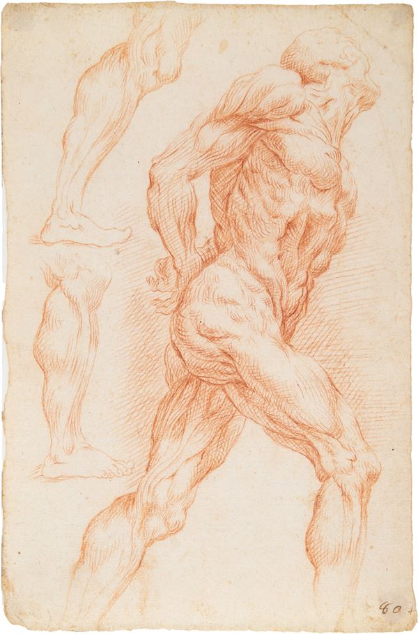Scuola italiana del XVIII secolo - Studio di scorticato