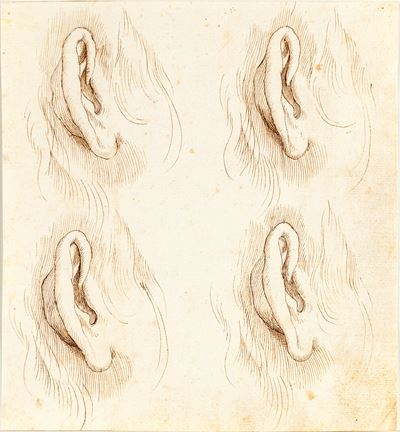 Studi di orecchie
