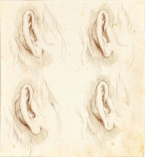 Scuola Romana del XVIII secolo - studi di orecchie