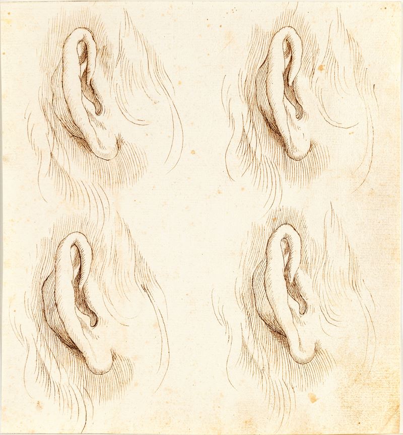 Scuola Romana del XVIII Secolo - Studi di orecchie