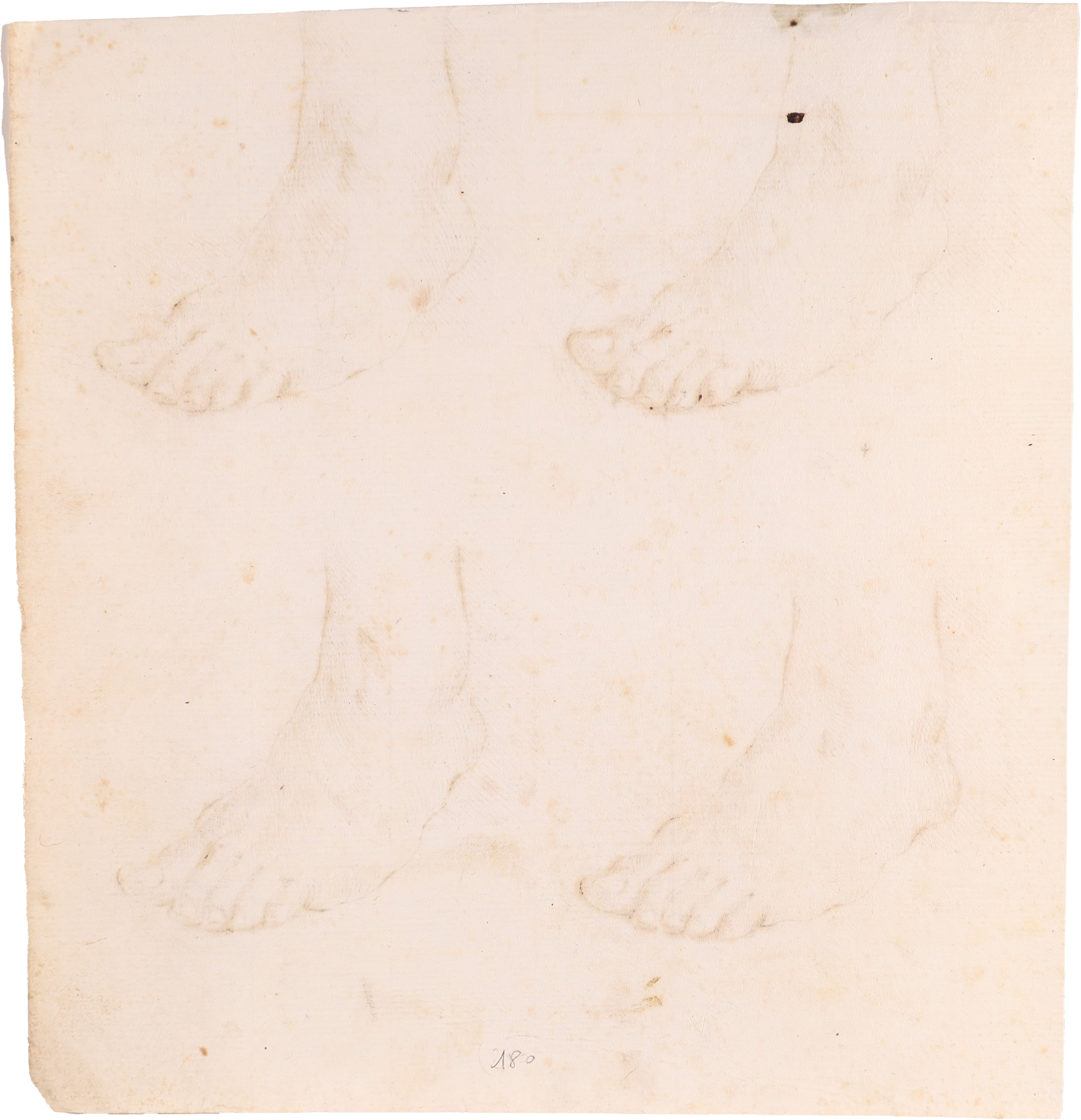 Scuola Romana del XVIII Secolo - Studi di piedi
