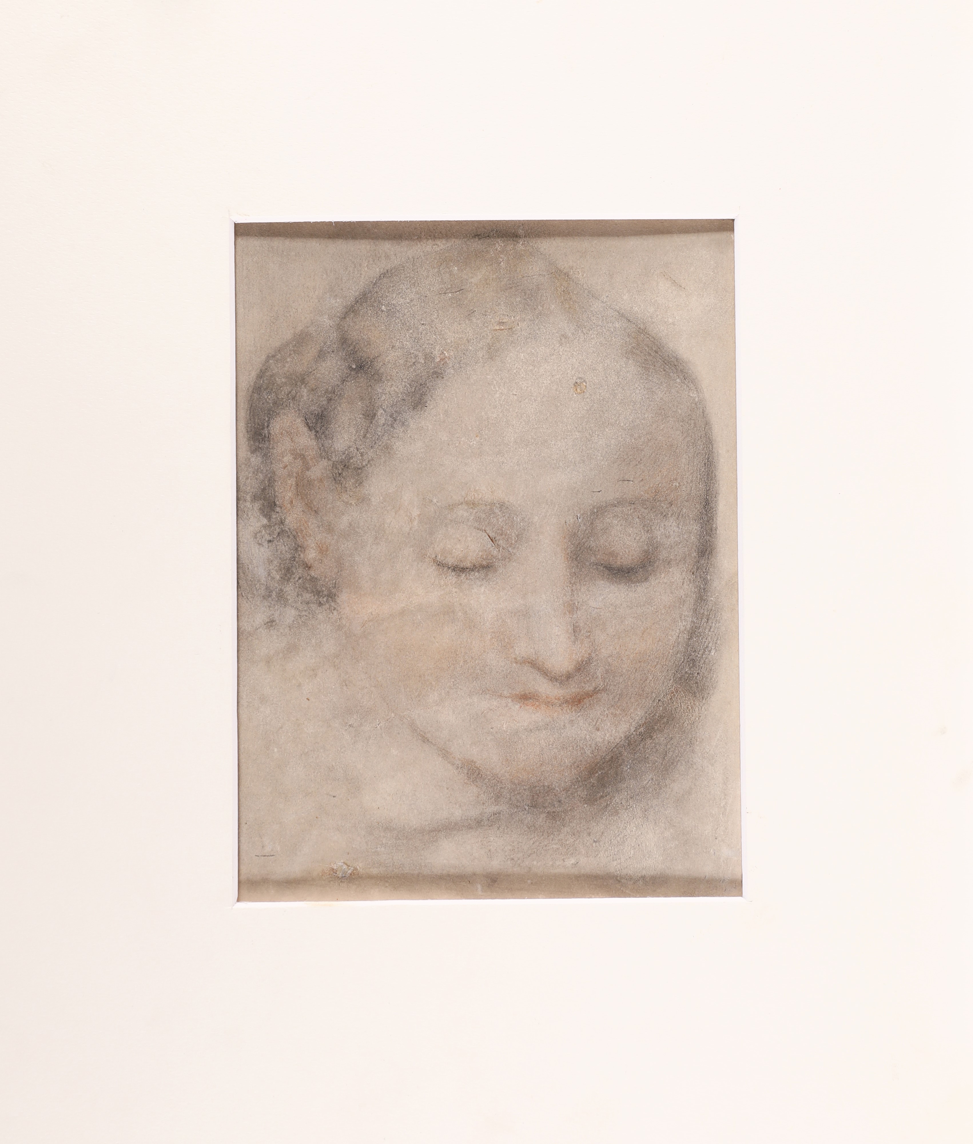 Scuola Marchigiana Fine del XVII Secolo - Scuola Marchigiana, fine del XVII secolo, Studio di tes...