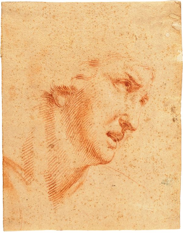 Studio di volto femminile