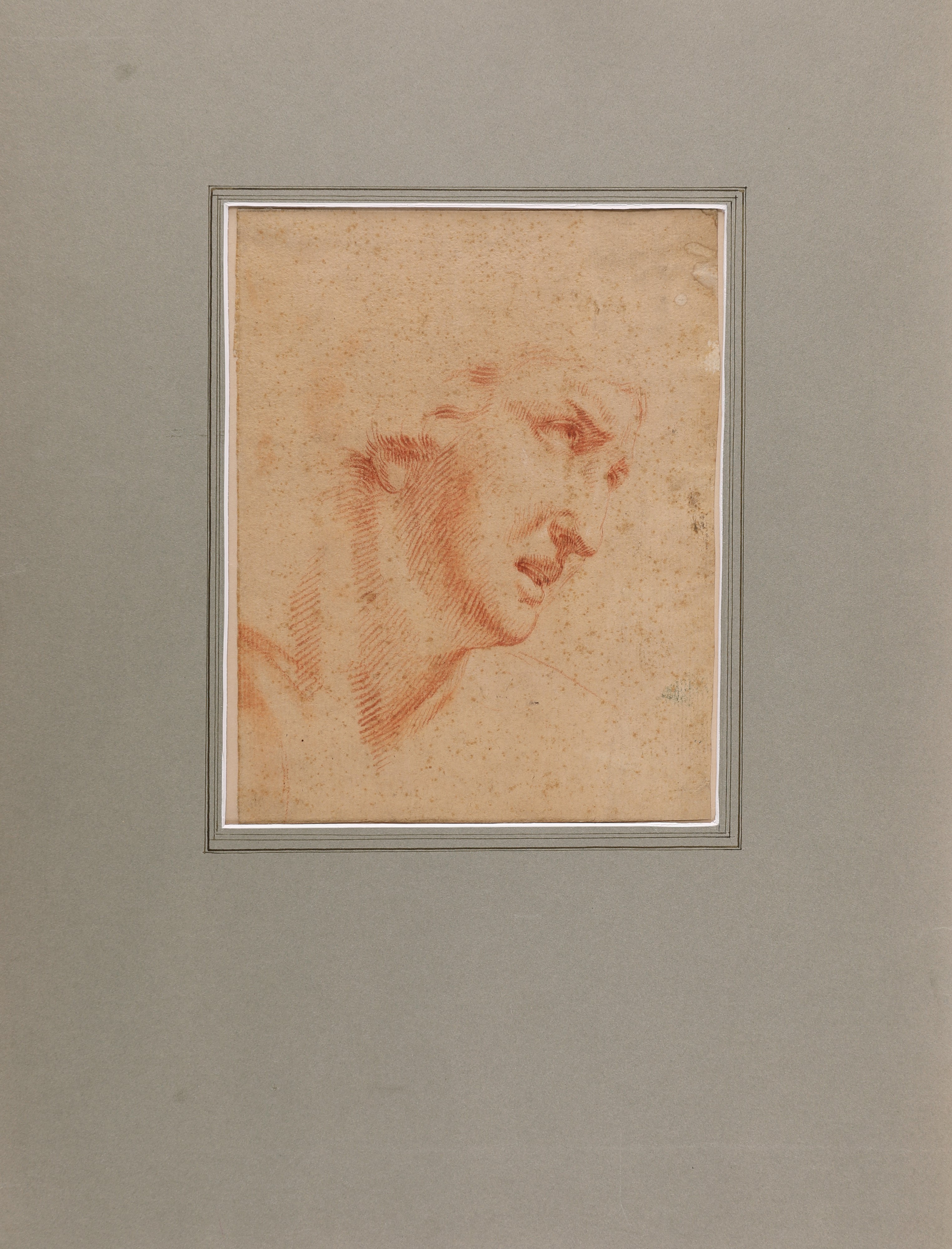 Scuola Emiliana del XVIII Secolo - Studio di Volto Femminile
