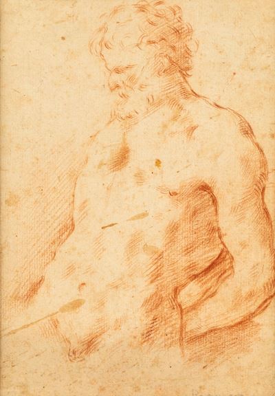 Studio di busto virile