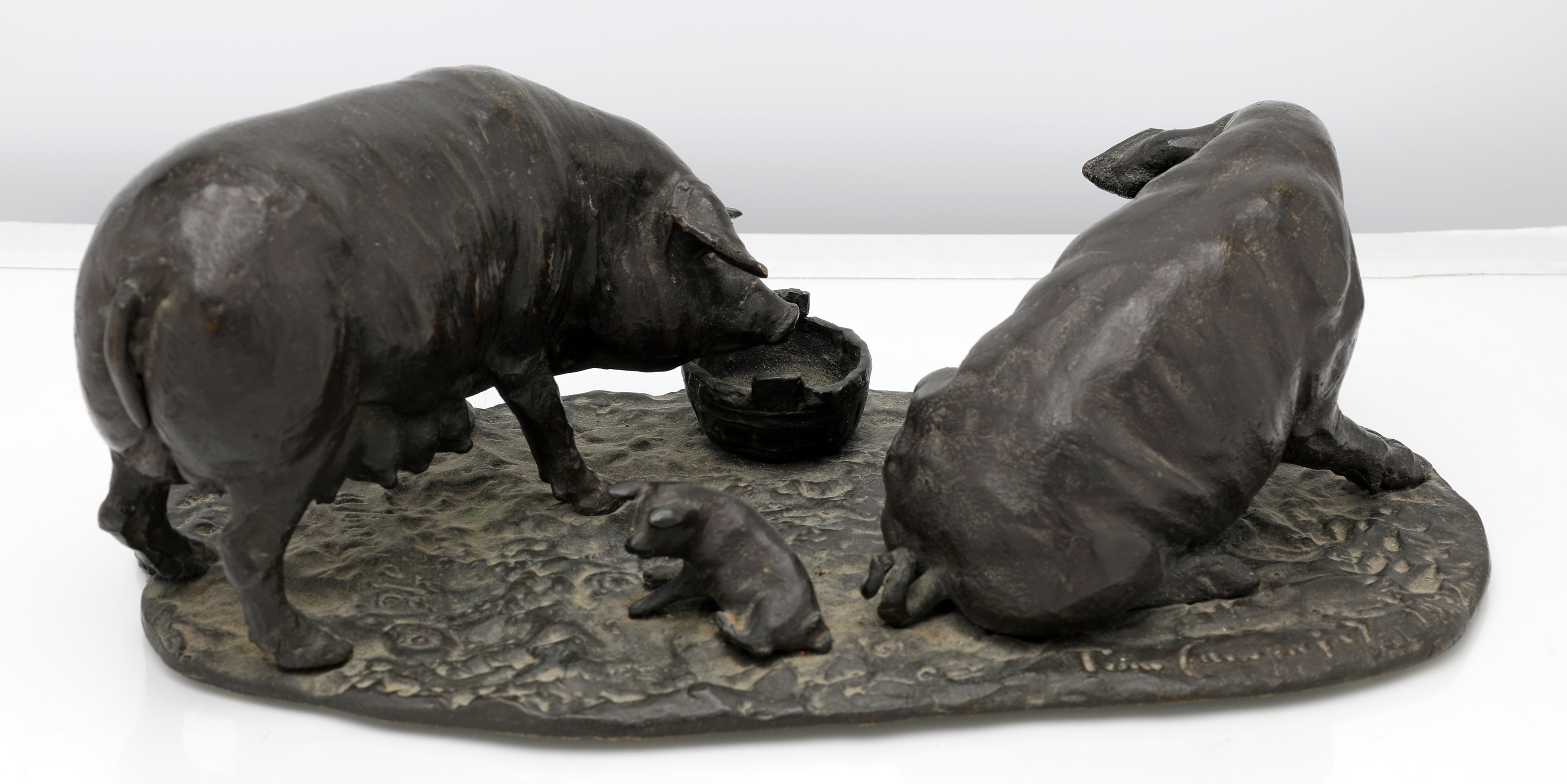 Tommaso Campajola - Maiale e scrofa con cucciolo