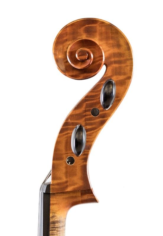 Violoncello