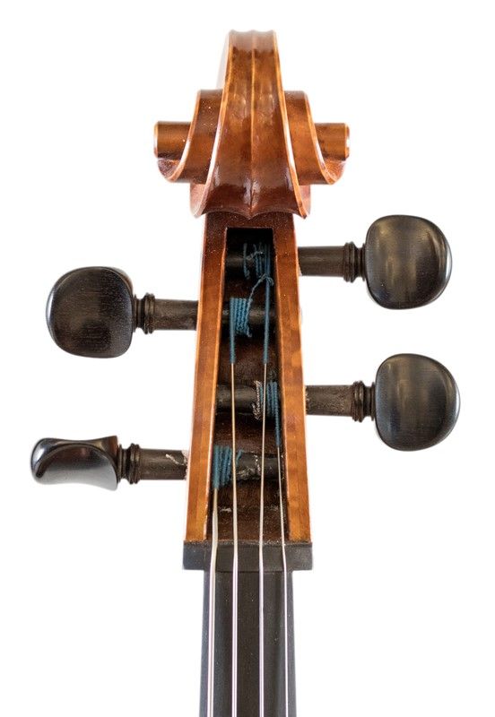 Violoncello