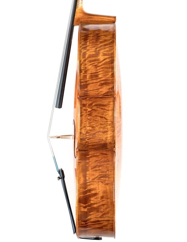 Violoncello