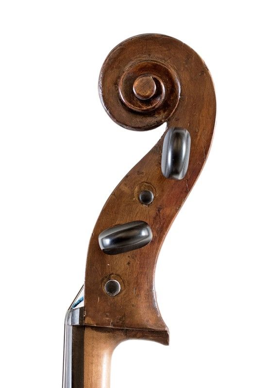 Violoncello in Astuccio in Astuccio Morbido Nero