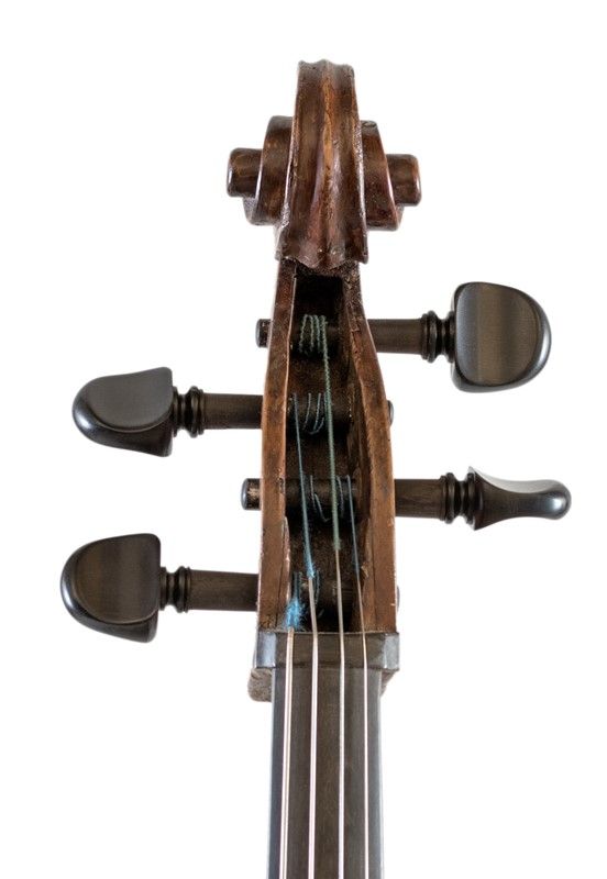 Violoncello in Astuccio in Astuccio Morbido Nero