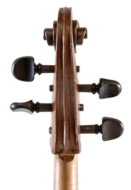 Violoncello in Astuccio in Astuccio Morbido Nero