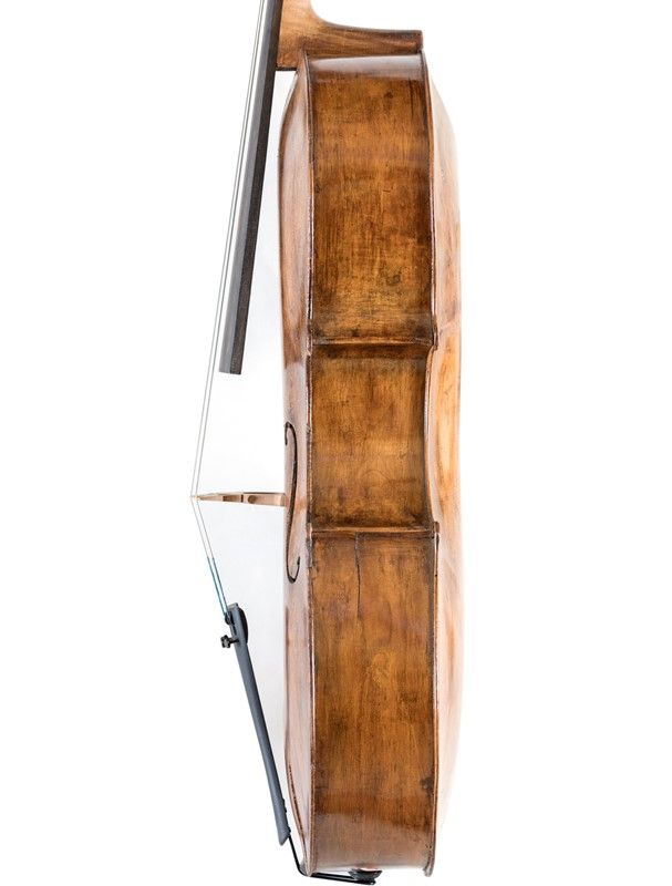 Violoncello in Astuccio in Astuccio Morbido Nero