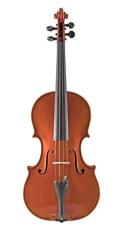 Viola