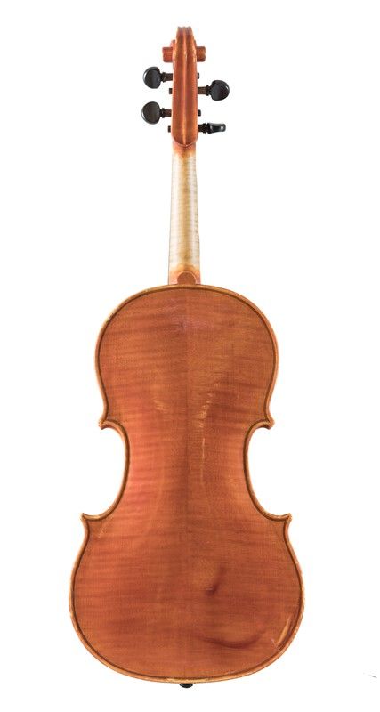 Viola
