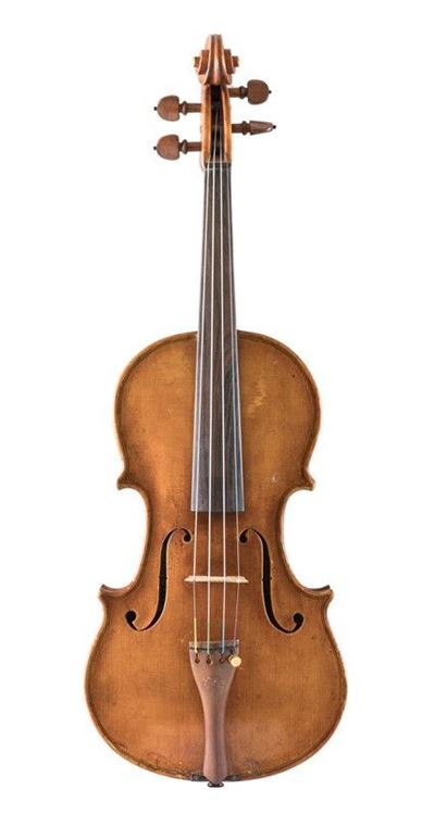 Violino
