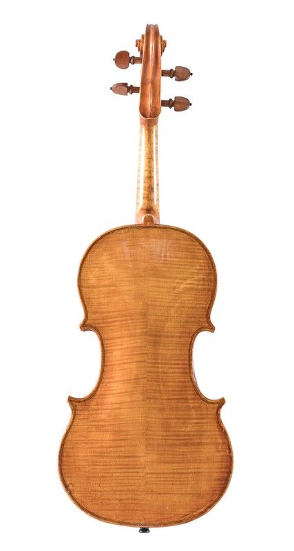Violino