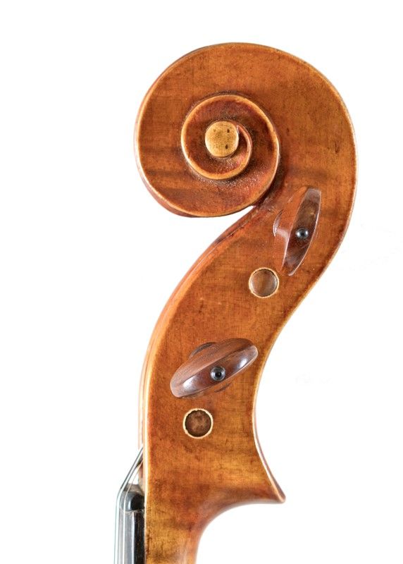 Violino
